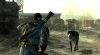 Fallout - 11